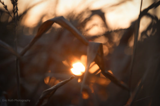 Through Time and Change: A Visual Testimony of God's Constancy