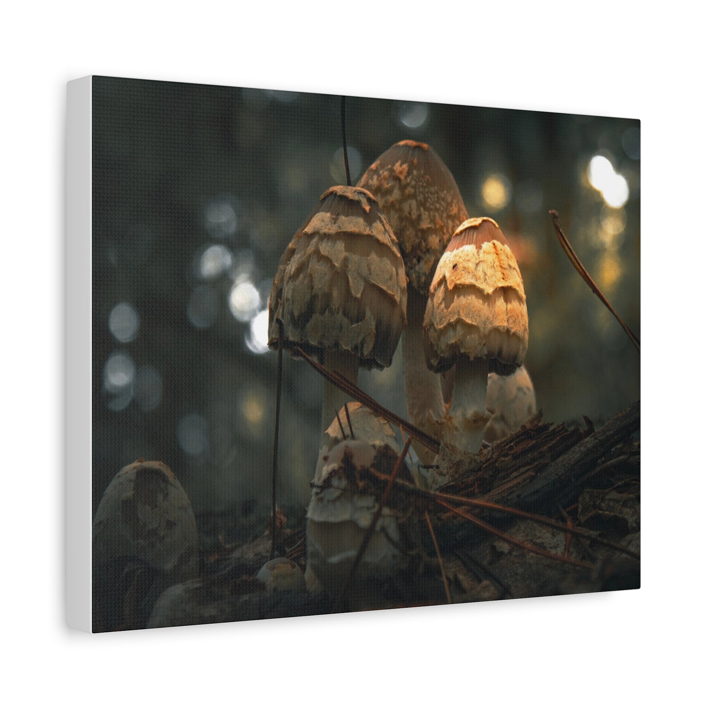 Mushroom Art Canvas Print, Nature Wall Decor, Stretched Canvas Artwork, Home Decor, Gift for Nature Lovers, Forest Wall Art