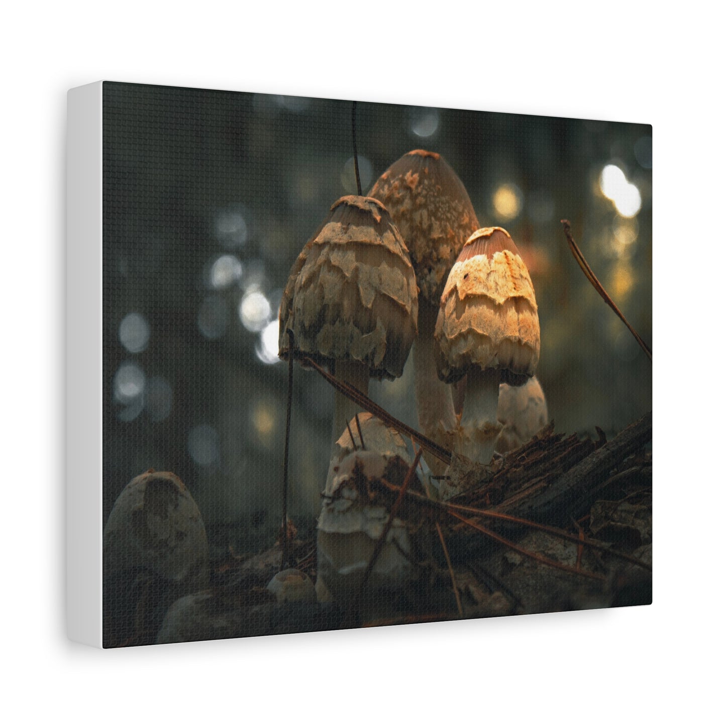 Mushroom Art Canvas Print, Nature Wall Decor, Stretched Canvas Artwork, Home Decor, Gift for Nature Lovers, Forest Wall Art