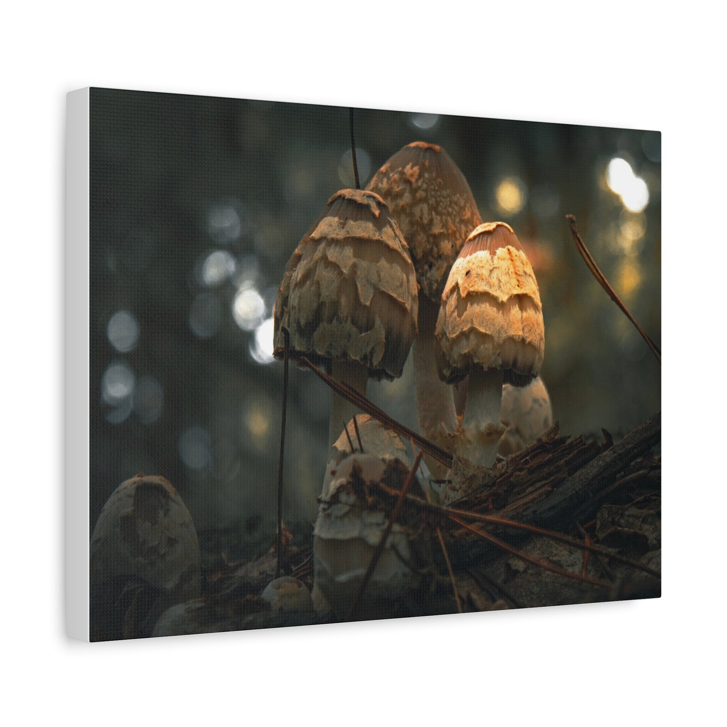 Mushroom Art Canvas Print, Nature Wall Decor, Stretched Canvas Artwork, Home Decor, Gift for Nature Lovers, Forest Wall Art