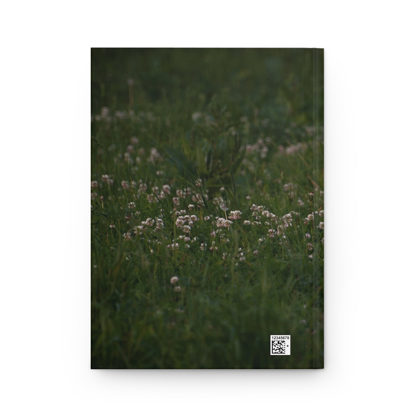 Raccoon photo- Your Story matters Faith-Inspired Hardcover Journal for Reflection, Writing, and Personal Growth - Great for Gifts, Journaling, and Daily Inspiration