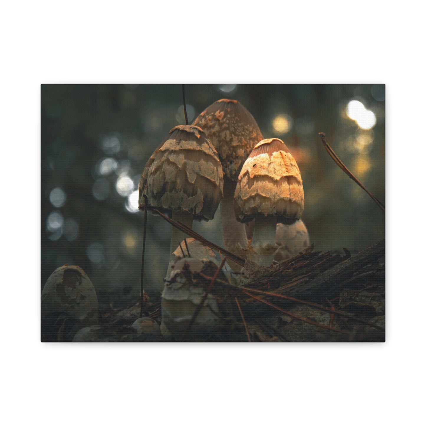 Mushroom Art Canvas Print, Nature Wall Decor, Stretched Canvas Artwork, Home Decor, Gift for Nature Lovers, Forest Wall Art