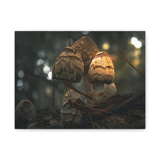 Mushroom Art Canvas Print, Nature Wall Decor, Stretched Canvas Artwork, Home Decor, Gift for Nature Lovers, Forest Wall Art