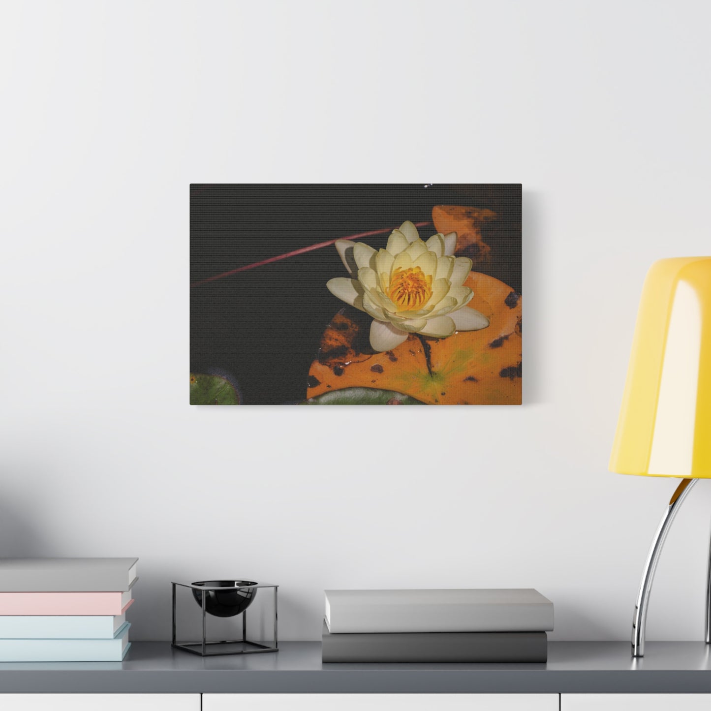 Coi Pond - Stretched Canvas Wall Art, Floral Décor, Home Office Inspiration, Gift for Nature Lovers, Water Lily Artwork