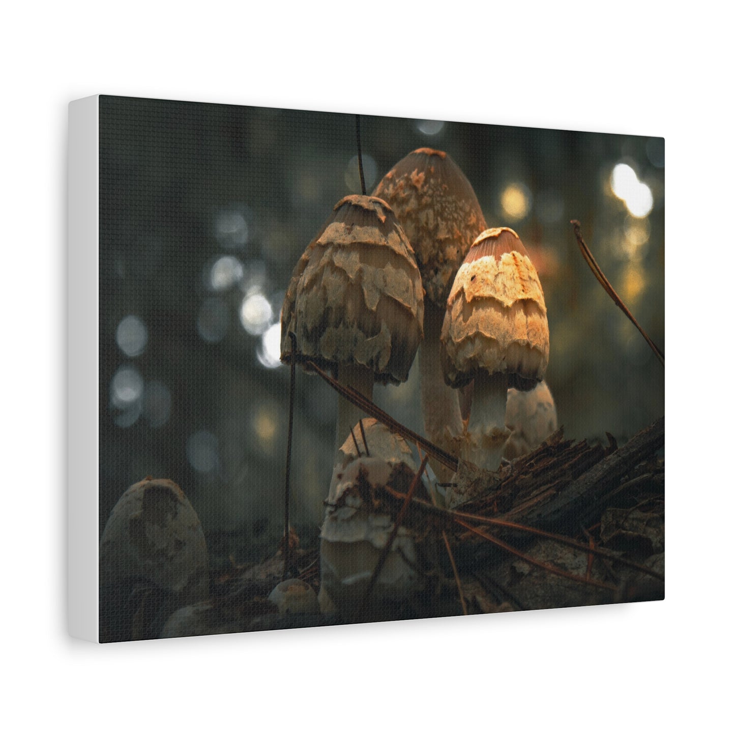 Mushroom Art Canvas Print, Nature Wall Decor, Stretched Canvas Artwork, Home Decor, Gift for Nature Lovers, Forest Wall Art