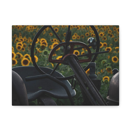 RustiTractor in Sunflower field Canvas Print, Vintage Tractor Art, Country Home Decor, Wall Art for Farm Lovers, Gift for Gardener