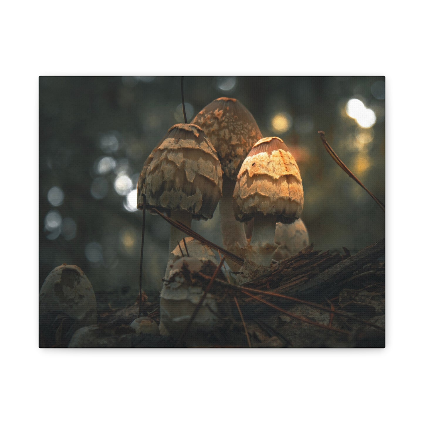 Mushroom Art Canvas Print, Nature Wall Decor, Stretched Canvas Artwork, Home Decor, Gift for Nature Lovers, Forest Wall Art